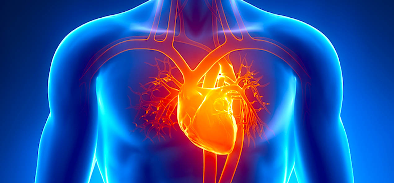 Ventricular Reduction