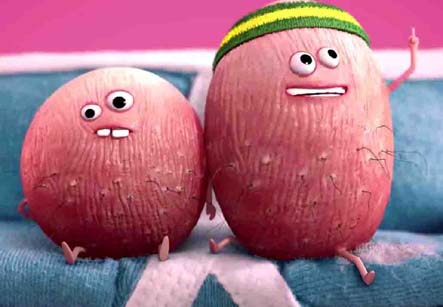 testicular Cancer